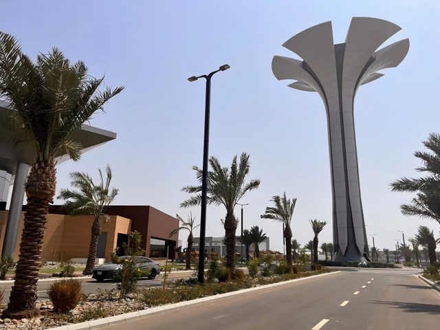 Solar Wrap Street Light 80W in Saudi Arabia 